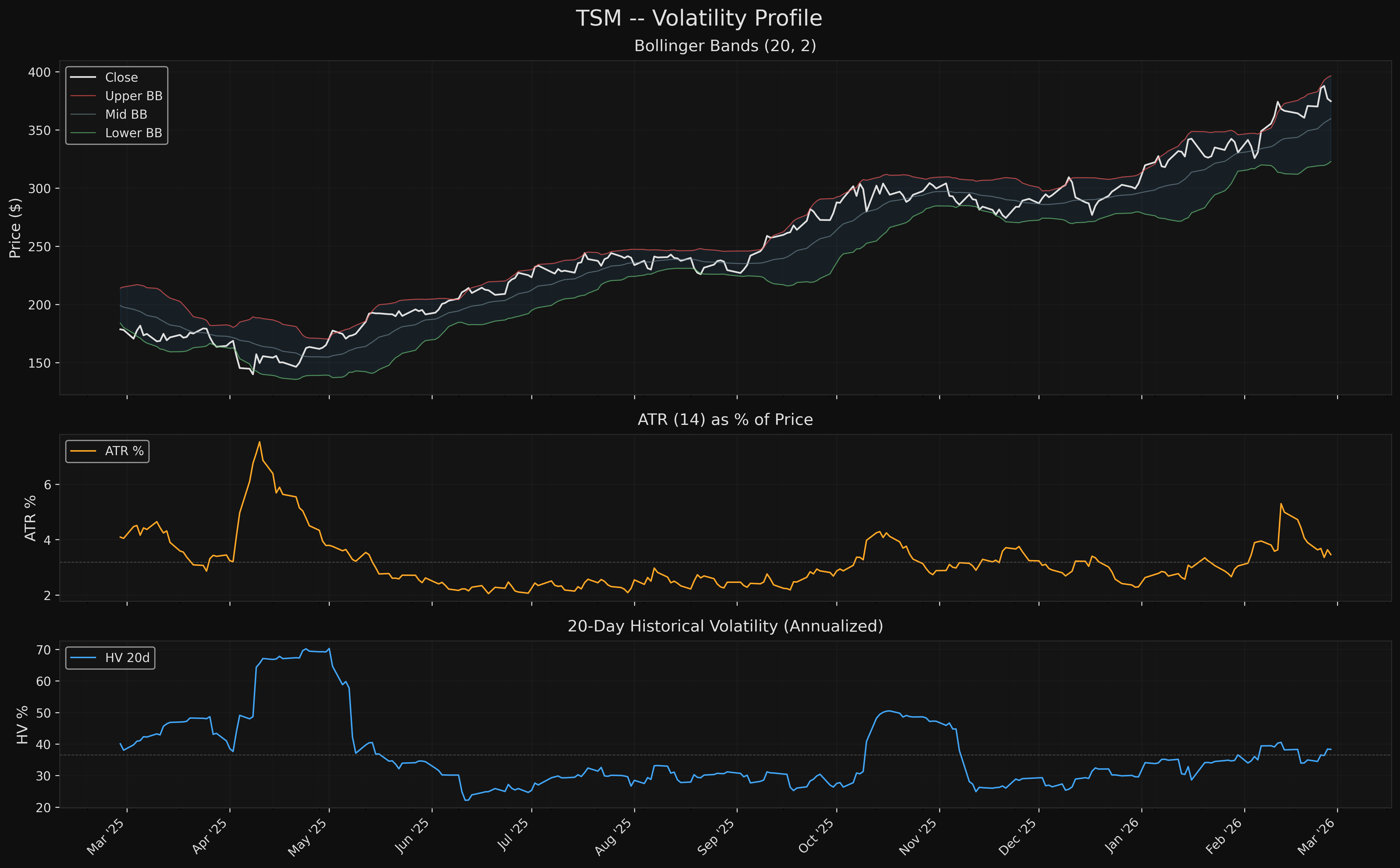 TSM tsm_volatility.png